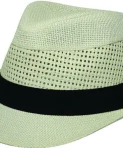 Τρυπητό καβουράκι Stamion