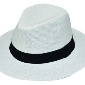 Ψάθινη Fedora Stamion