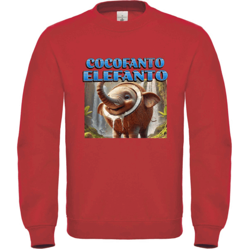 Παιδικό φούτερ Cocofanto Elefanto