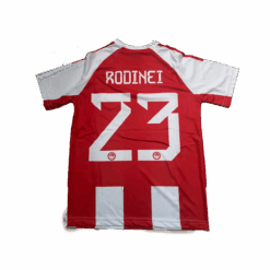 Alternative view of <h1> Παιδική εμφάνιση ποδοσφαίρου Rodinei Olympiakos </h1>