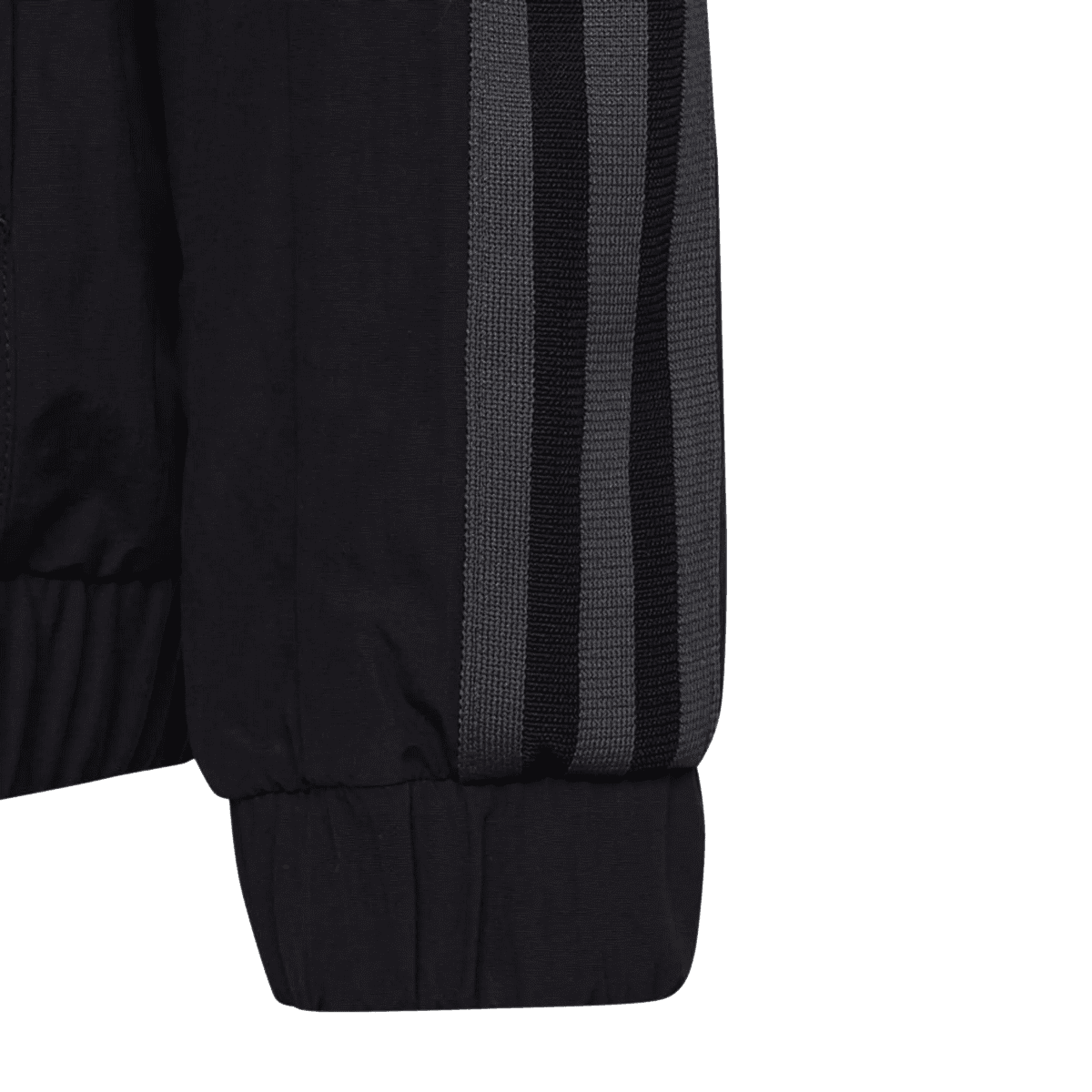 Adidas μπουφάν παρουσίασης Εθνικής Γερμανίας φωτογραφία