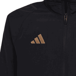 545790ab2530 Adidas μπουφάν παρουσίασης Εθνικής Γερμανίας 26