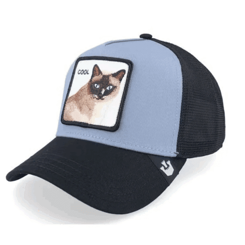 Καπέλο Jockey V2 Cool Cat Γάτα - Goorin Bros 2