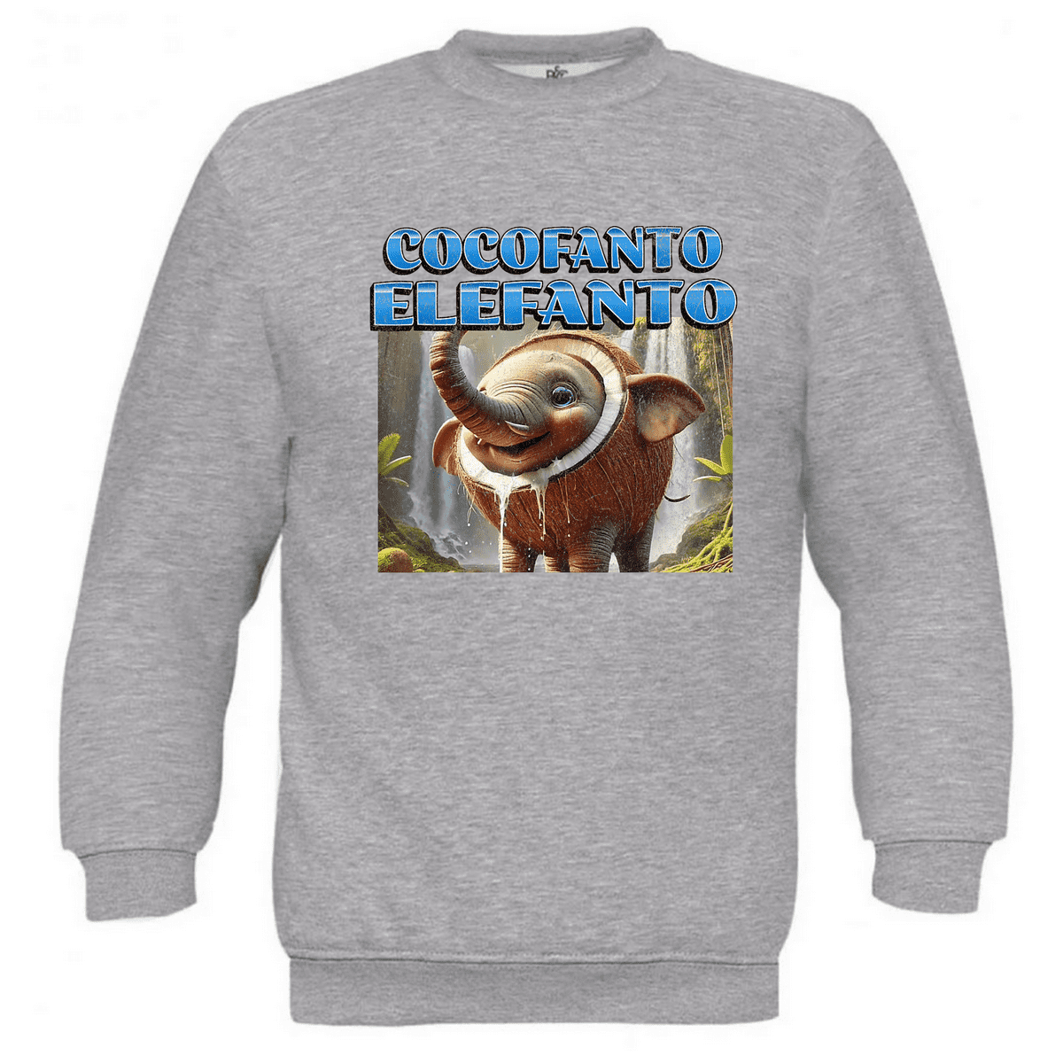 Παιδικό φούτερ Cocofanto Elefanto