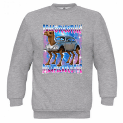 Παιδικό φούτερ Tracotucotulu