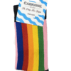 Unisex κάλτσες Pride
