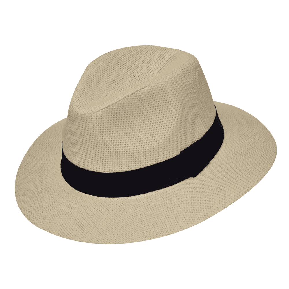 Ψάθινη Fedora Stamion