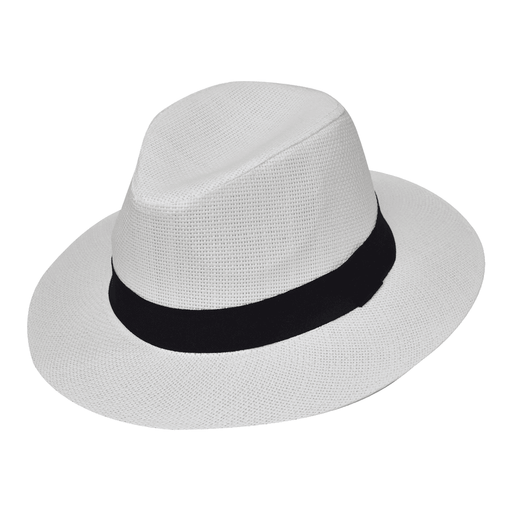 Ψάθινη Fedora Stamion